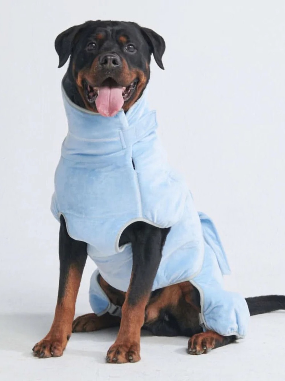 BRAND NEW ✨SPARK PAWS✨ 10 Minute Dry Dog Bathrobe